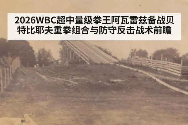 2026WBC超中量级拳王阿瓦雷兹备战贝特比耶夫重拳组合与防守反击战术前瞻